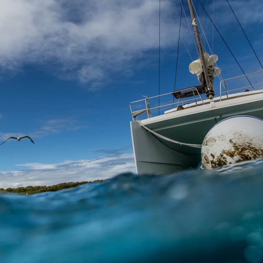 Segeln in Guadeloupe: Blick von unterwasser auf Katamaran der an Moring liegt