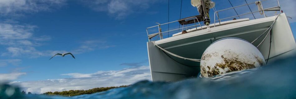 Segeln in Guadeloupe: Blick von unterwasser auf Katamaran der an Moring liegt